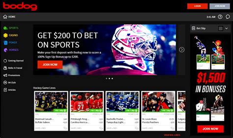 bodog betting,Bodog 